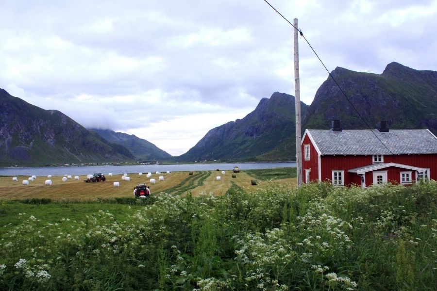 Praca w Norwegii